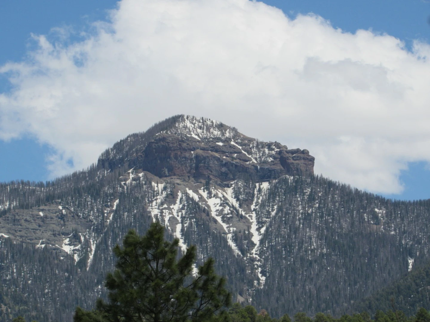 An image depicting the trail Steel Canyon Trail and its surrounding area.