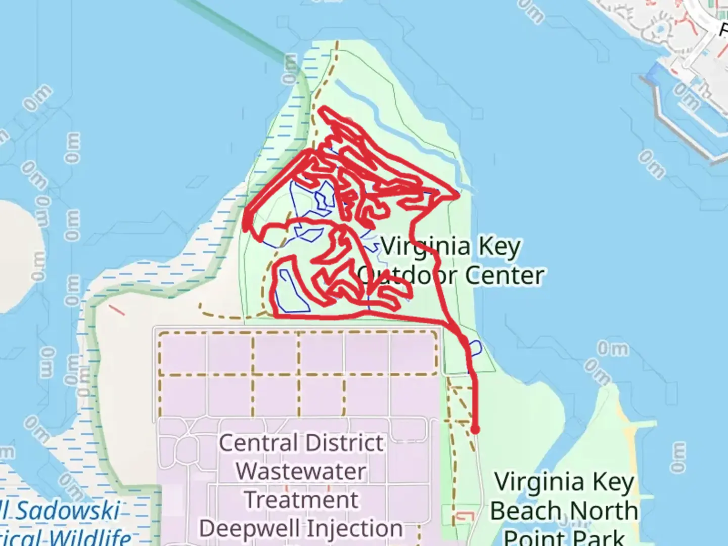 An image depicting the trail Virginia Key North Point Loop Trail and its surrounding area.