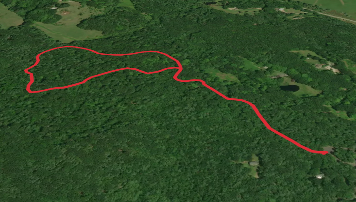 White and Red Loop Trail