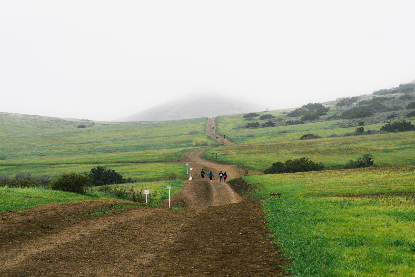 An image depicting the trail Canyon Overlook - Stagecoach Bluff - Wildwood Canyon Loop Trail and its surrounding area.