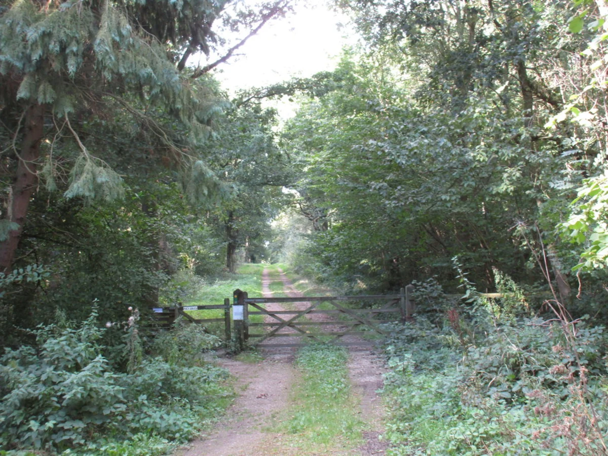 Nocton, Potterhanworth and Wasps Nest Loop Walk