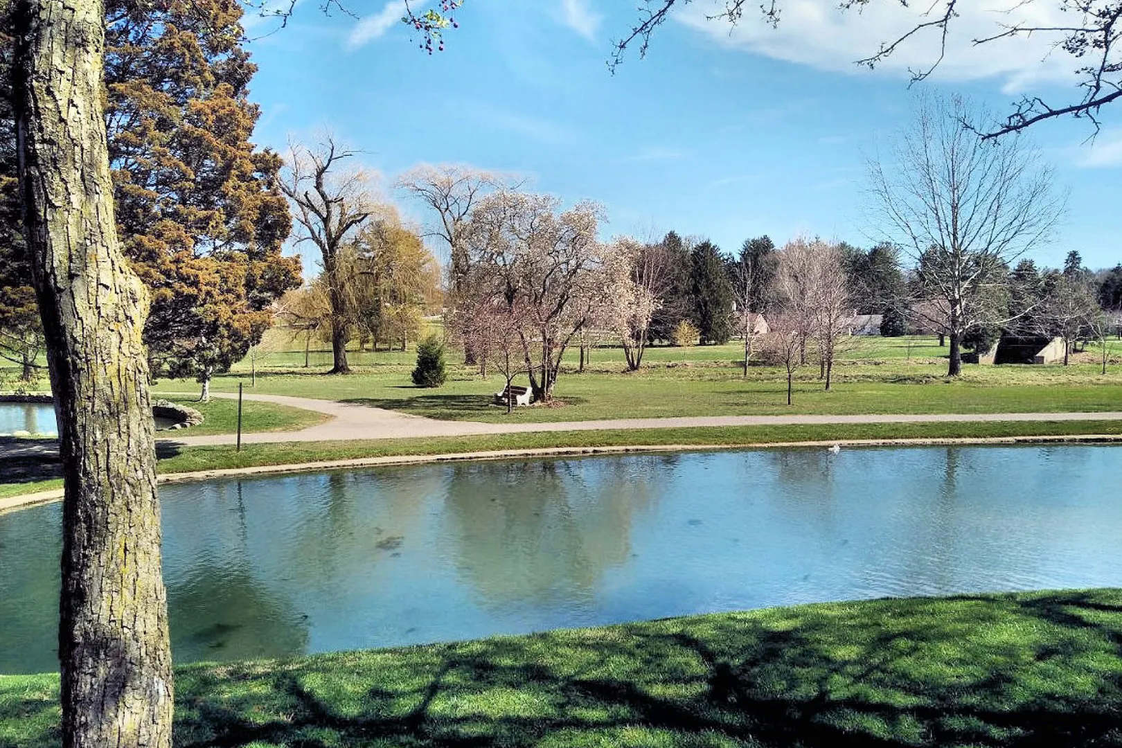 An image depicting the trail Cedar Creek Park Trail and its surrounding area.