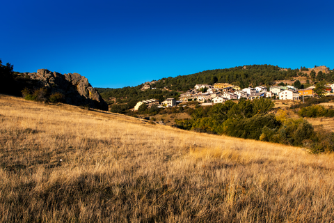 An image depicting the trail Singing Fountain PR TE 130 and its surrounding area.