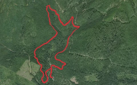 Upper Big Creek Loop Trail