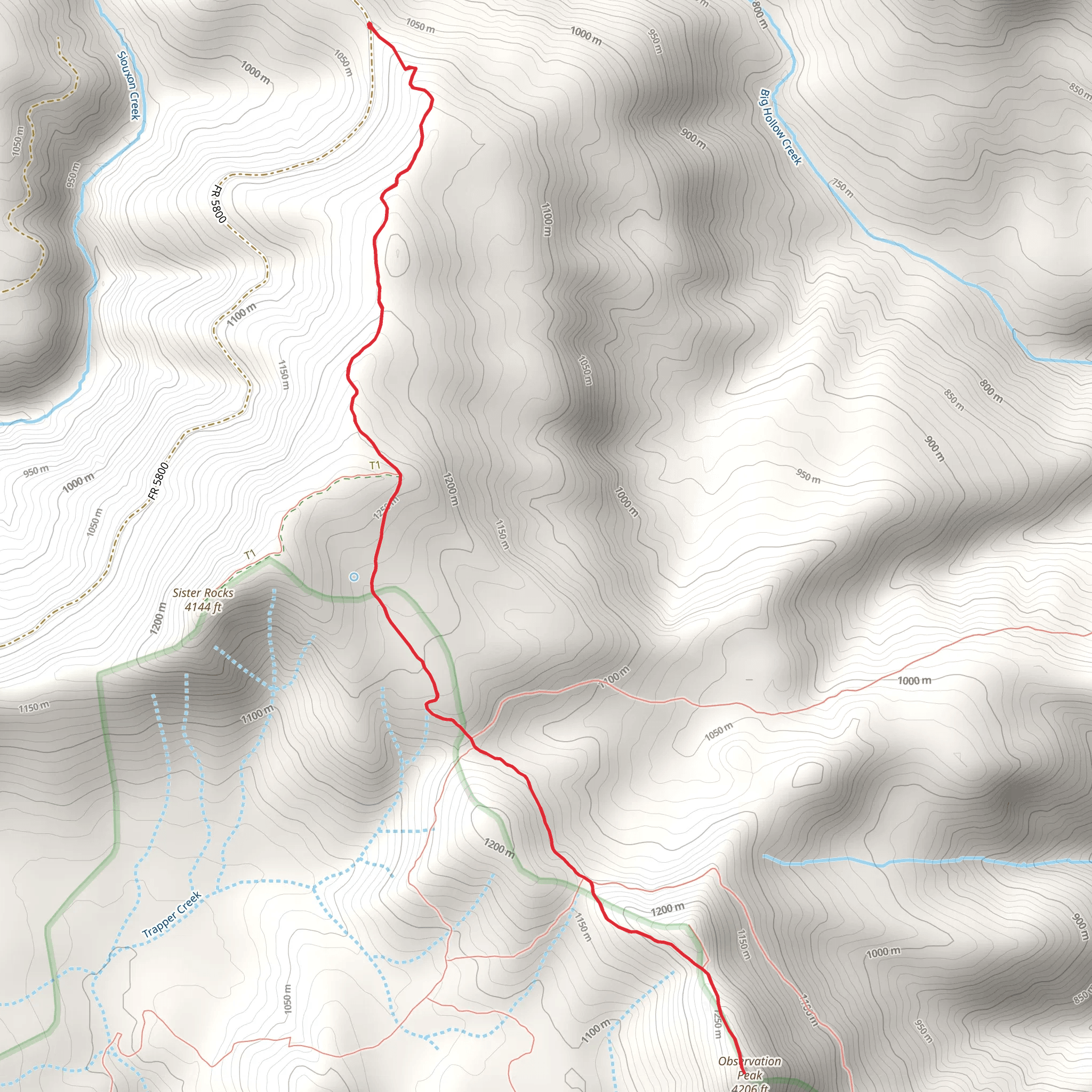 Observation Peak Out and Back mobile static map
