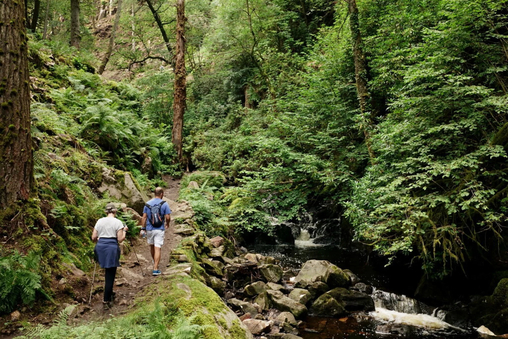 An image depicting the trail St Catherine's Church - Stanley Ghyll Waterfall Loop and its surrounding area.