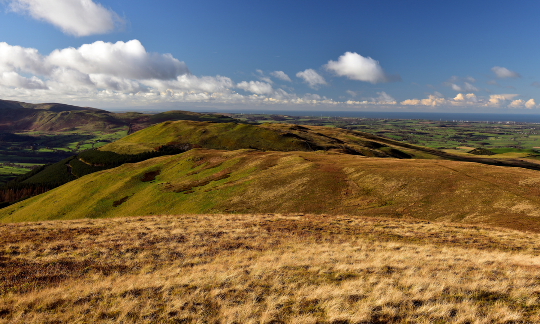 An image depicting the trail Graystones and its surrounding area.