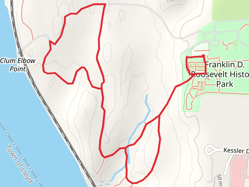 Hyde Park Train - Green and Forest Trail - Green Loop