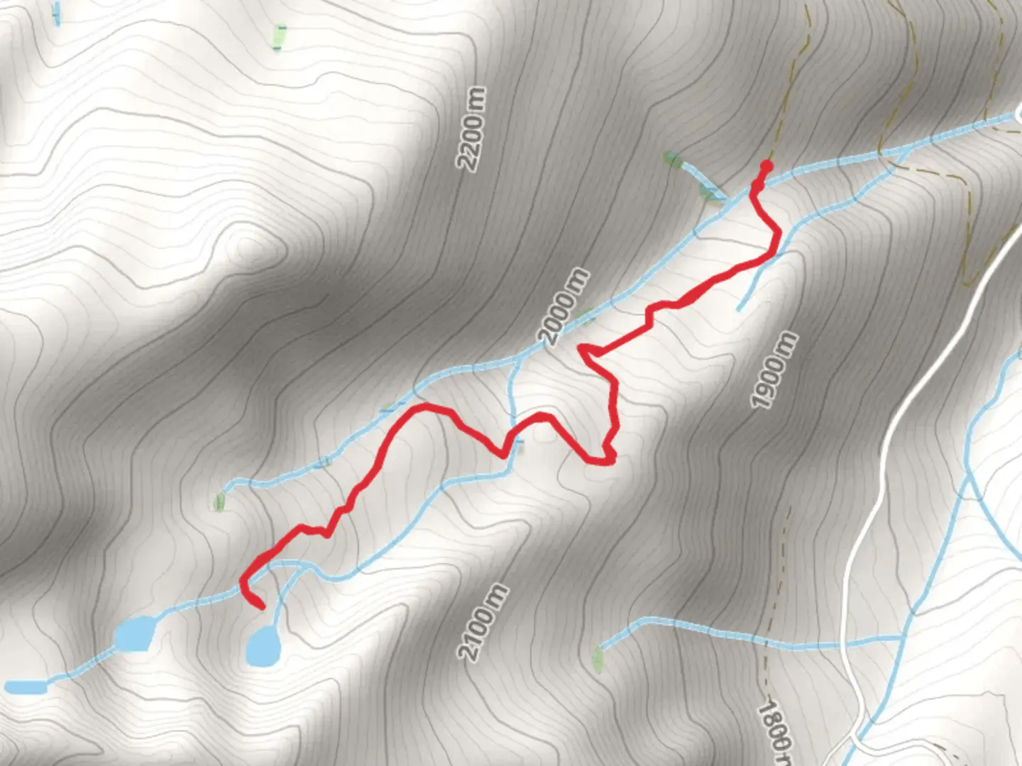 An image depicting the trail West Parks Lakes Trail and its surrounding area.