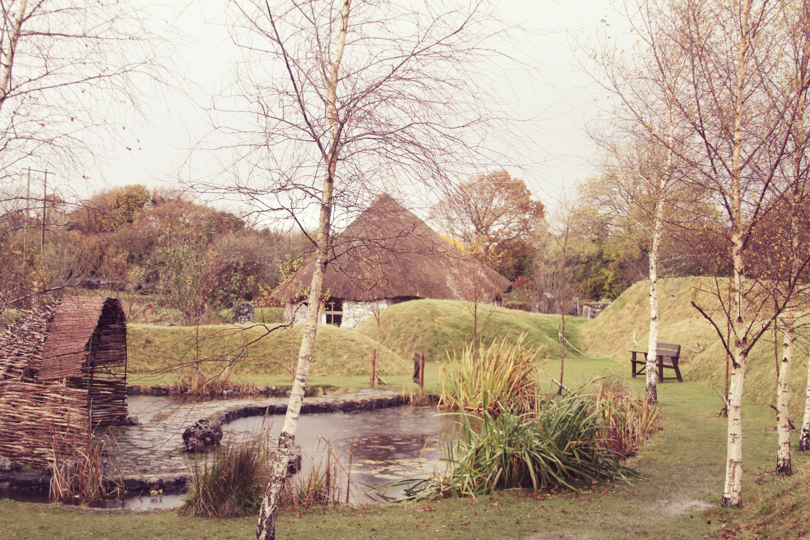 An image depicting the trail Moycullen - Maigh Cuilinn Heritage Trails - Killarainey Woods Walk and its surrounding area.