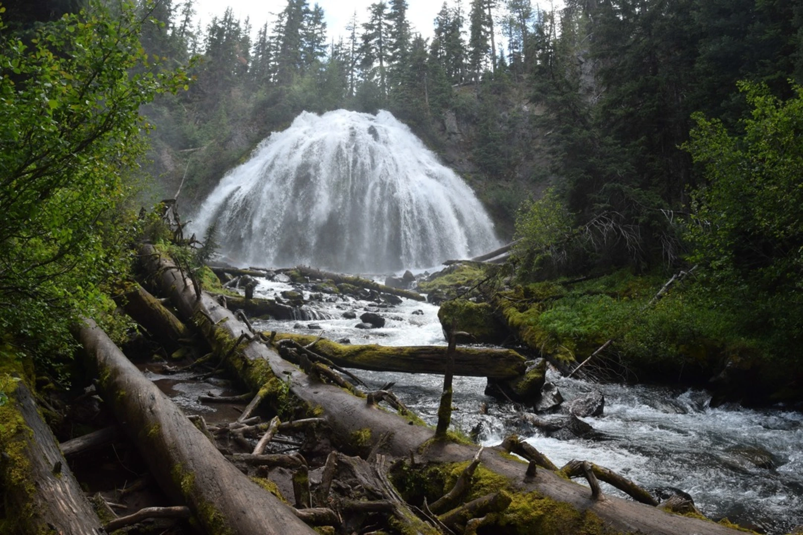 An image depicting the trail Upper Chush Falls via Whychus Creek Falls Trail and its surrounding area.