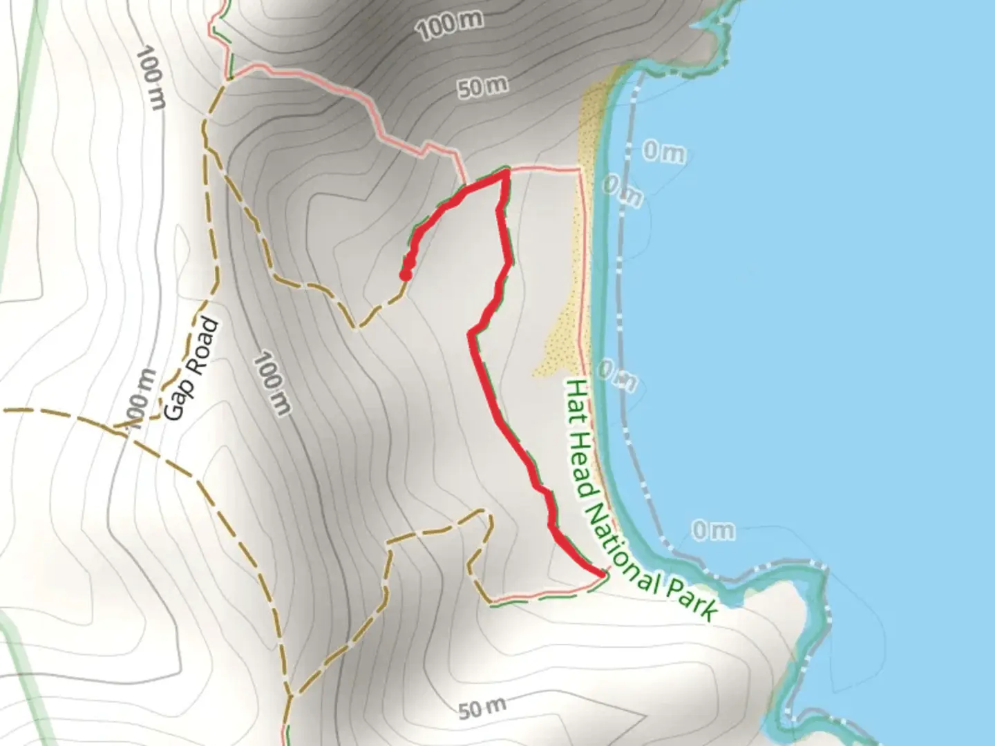An image depicting the trail Rainforest Track and its surrounding area.