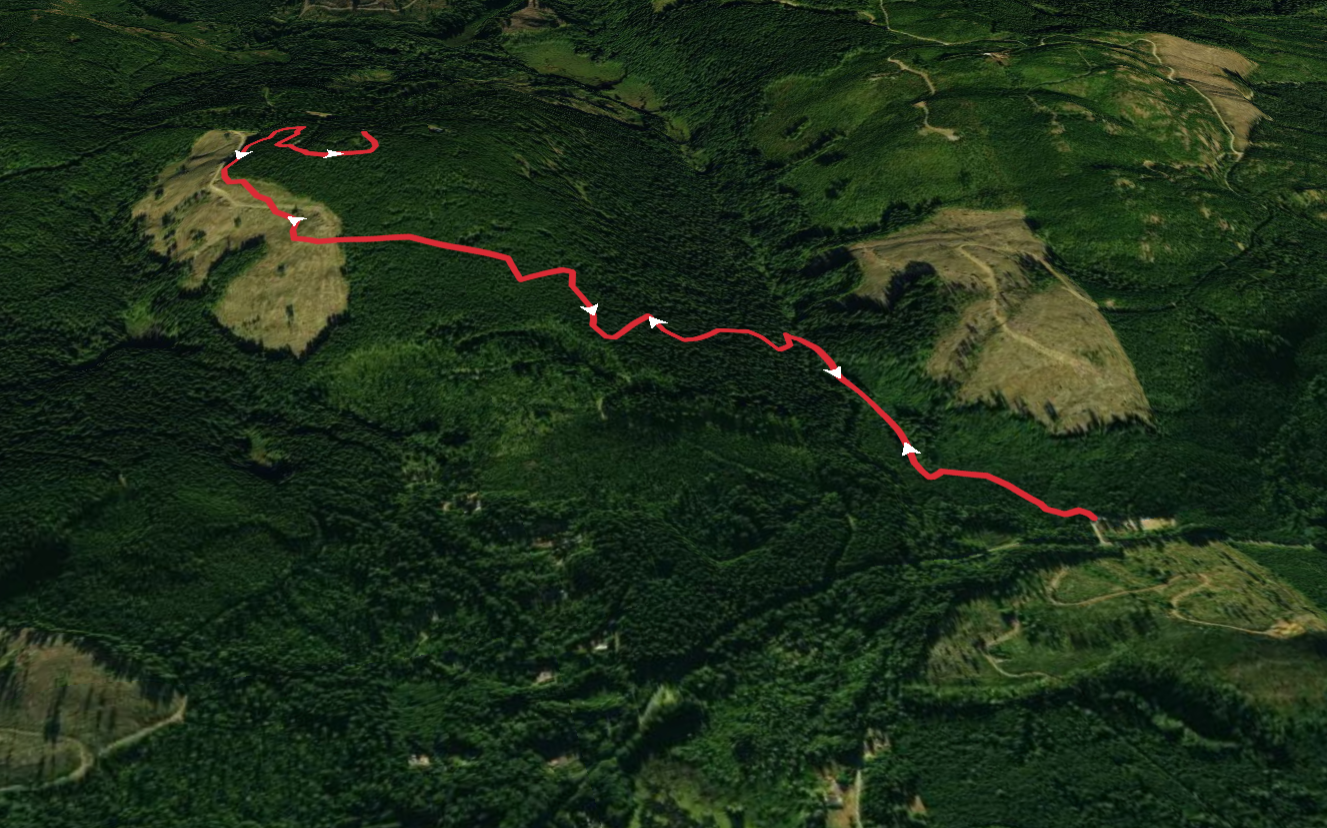 Green Mountain via Gold Creek Trail