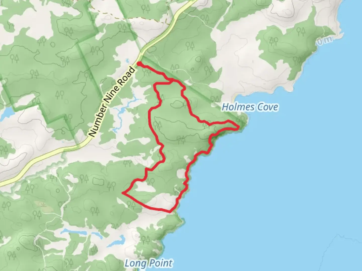 An image depicting the trail Cutter Loop Short Trail and its surrounding area.