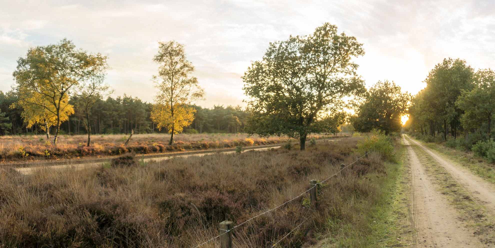 An image depicting the trail Harskamperdennen Loop and its surrounding area.