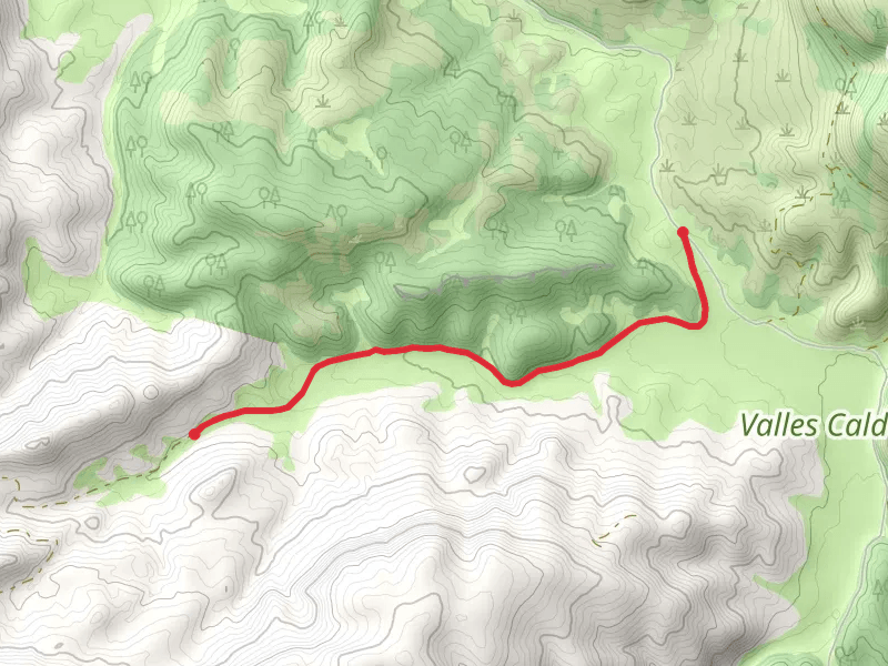 Jaramillo Creek Walk along