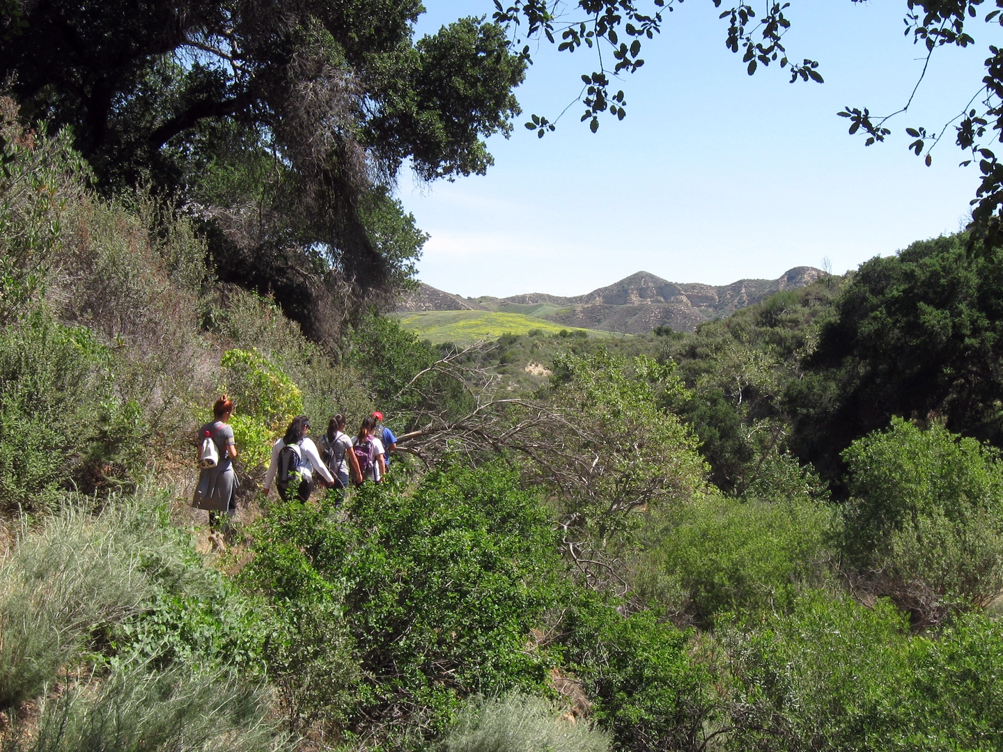 An image depicting the trail Placerita Motorway and its surrounding area.