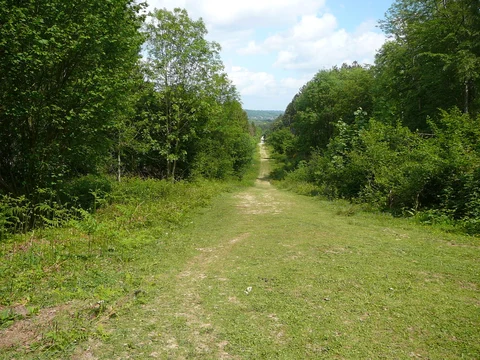 Great Wood and Cherry Gardens Loop