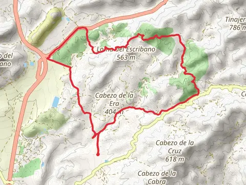 Baladre de Águilas Trail PR MU 112
