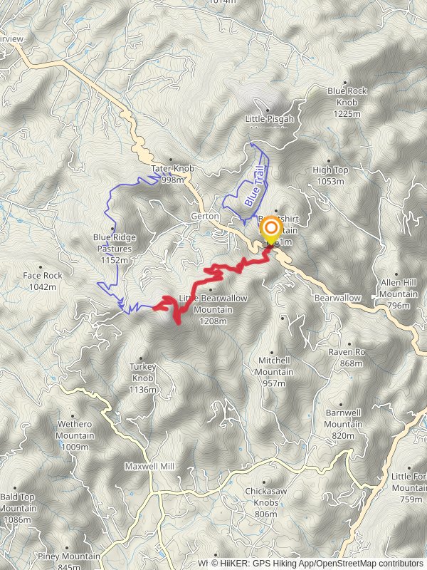 Wildcat Rock Trail to Bearwallow Mountain