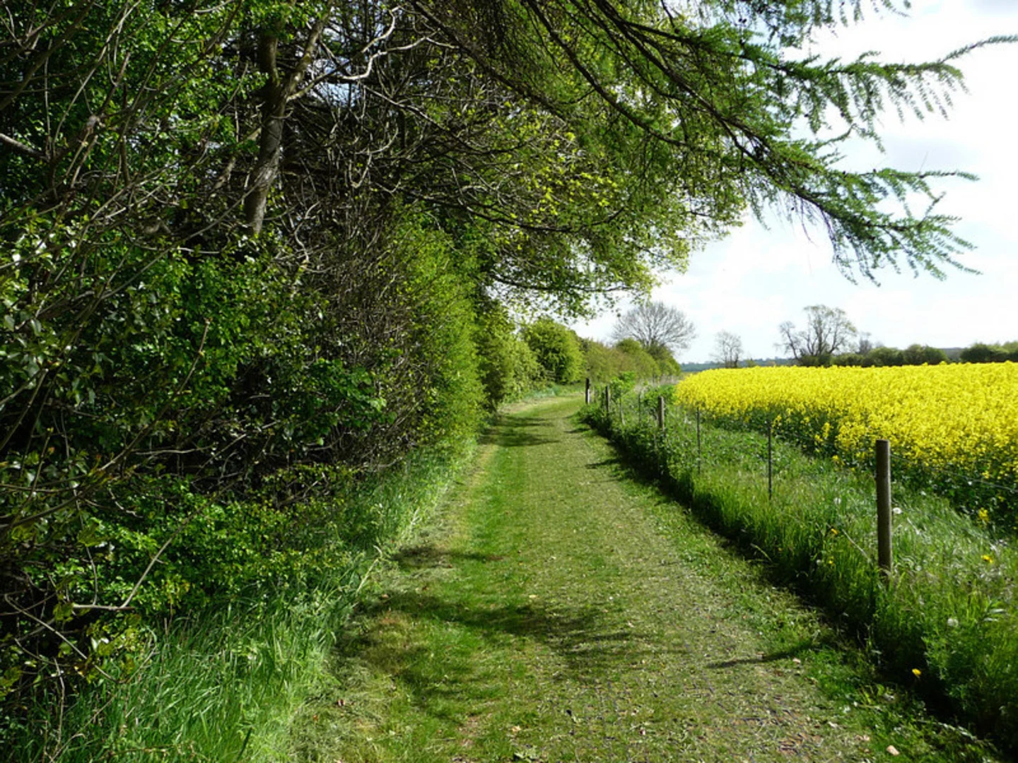 An image depicting the trail Rollright Stones and its surrounding area.