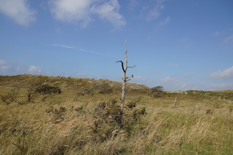 Pettemerduinen and Korfwater Loop