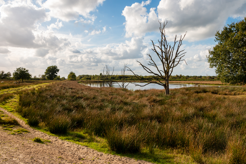 Bargerveen Uitkijkheuvet and Laardijk Loop