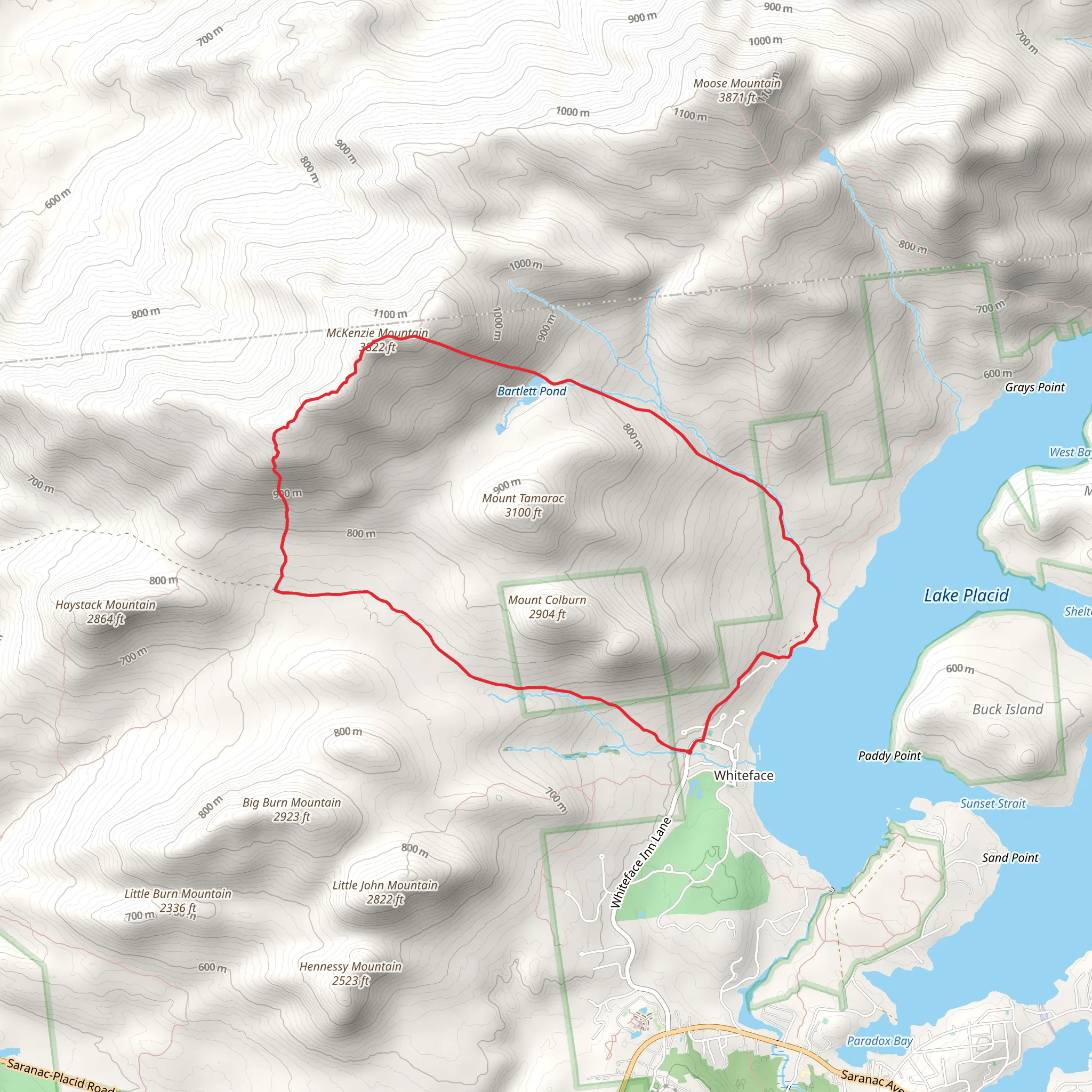 McKenzie Mountain Trail Loop - Whiteface mobile static map