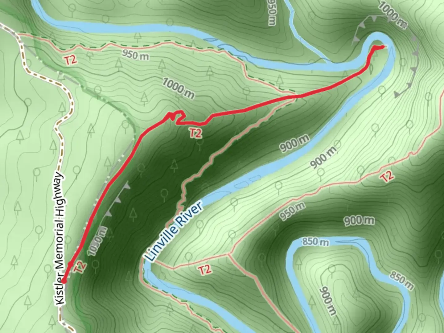 An image depicting the trail Bynum Bluff Trail and its surrounding area.