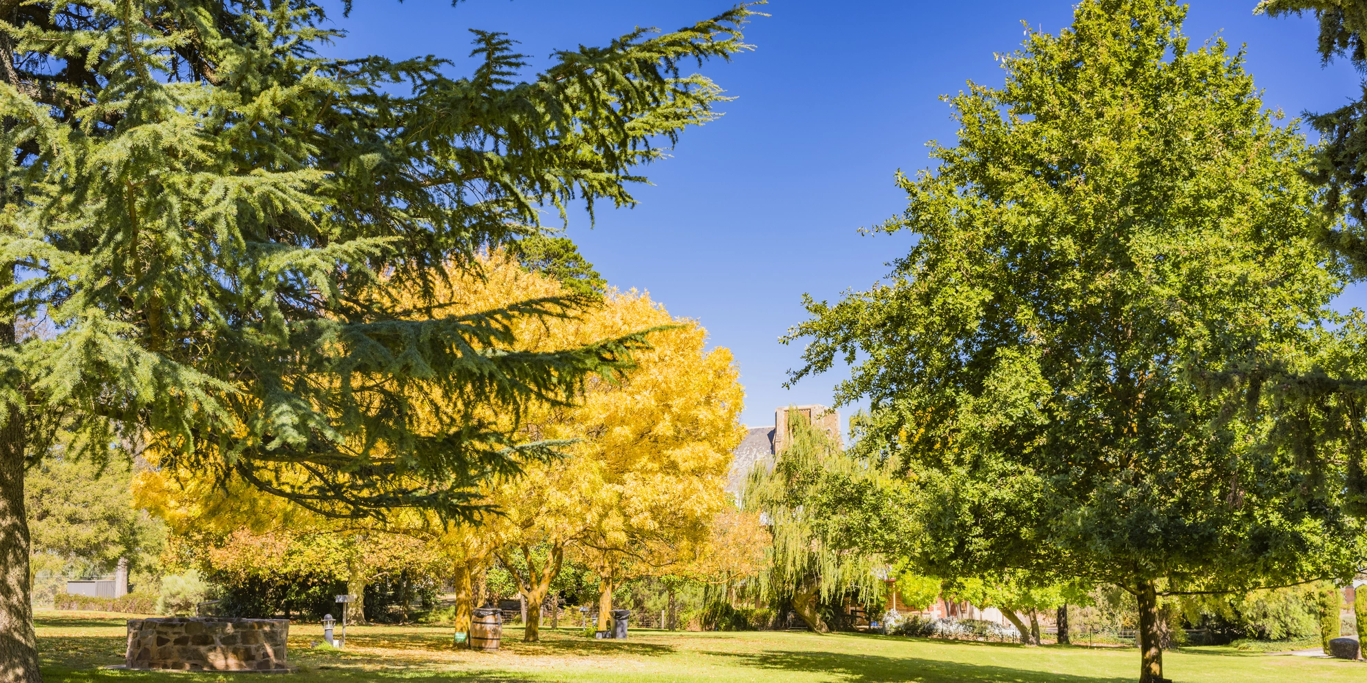 An image depicting the trail The Riesling Trail and its surrounding area.