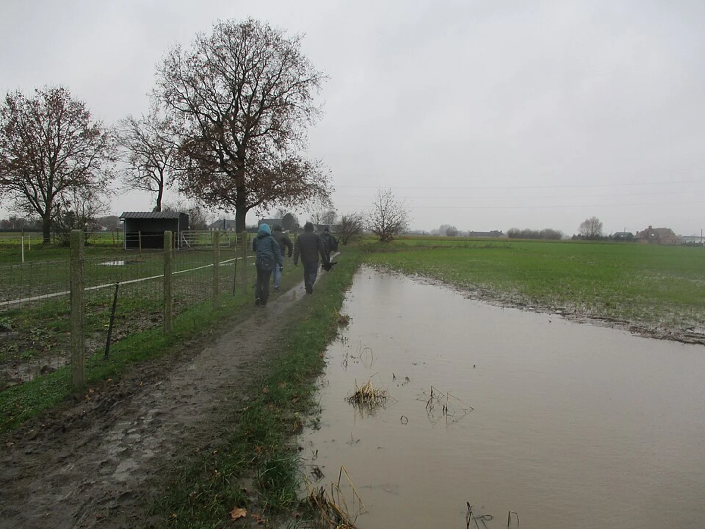 An image depicting the trail Beukendreef and and Hoofddreef via Ossendrechtse Duinen and its surrounding area.