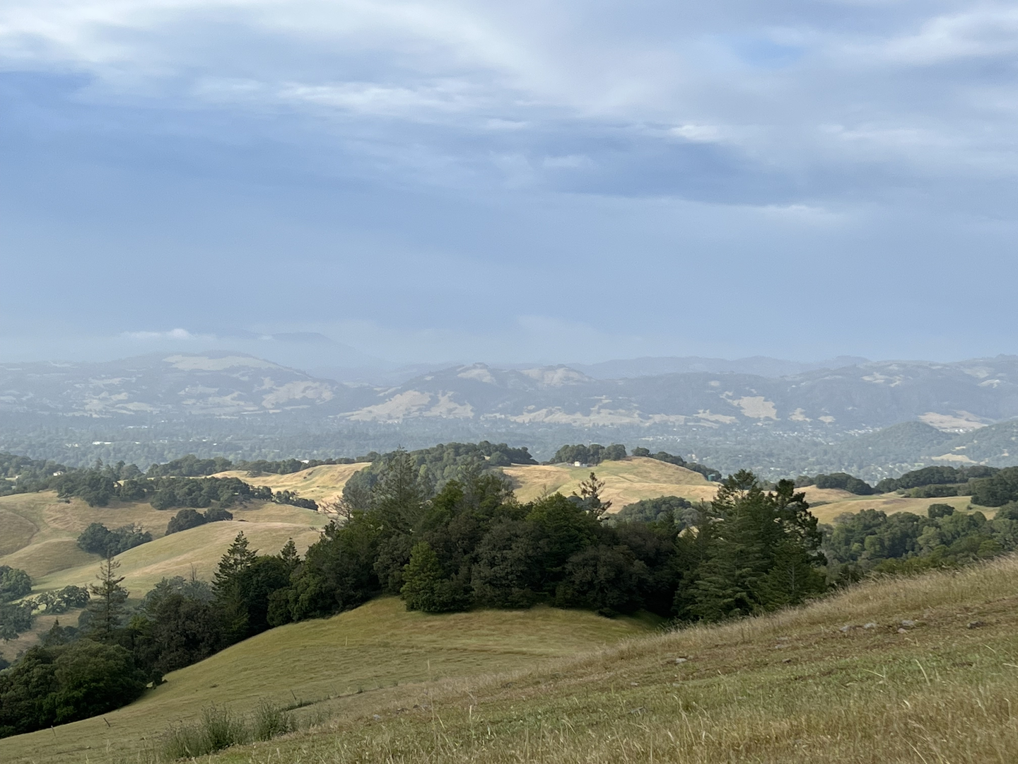An image depicting the trail Taylor Mountain via Western Route and Sky Lupine Trail and its surrounding area.