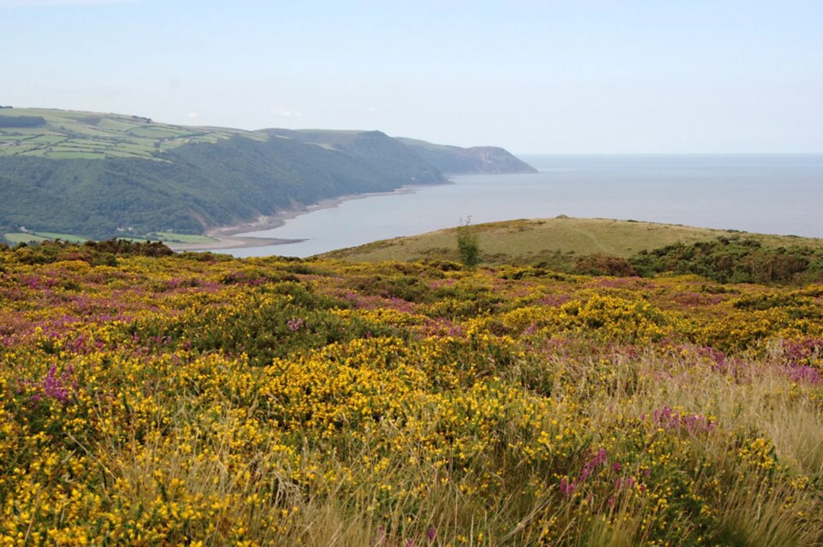 An image depicting the trail Bossington Hill Moorland Walk - Exmoor Stroll and its surrounding area.