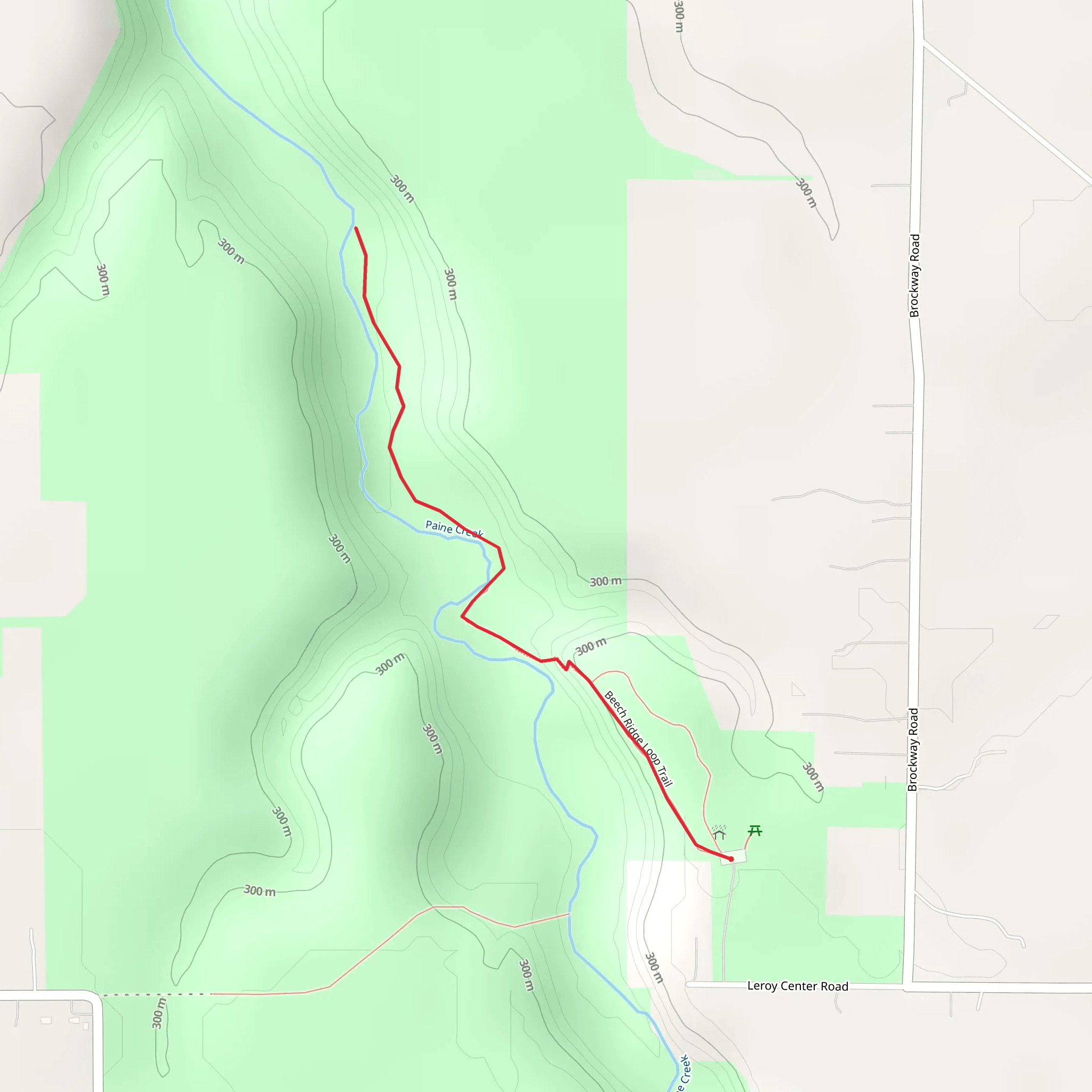 Paine Creek via Wildcat Trail mobile static map