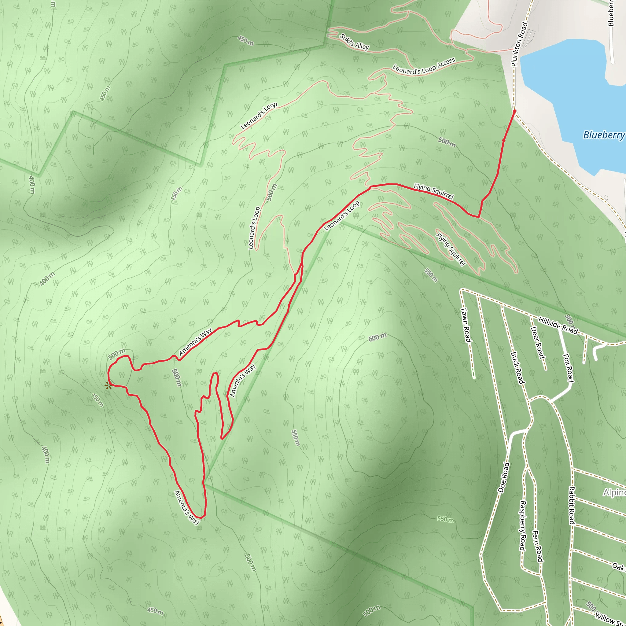Amenta's Way Loop via Flying Squirrel Trail mobile static map