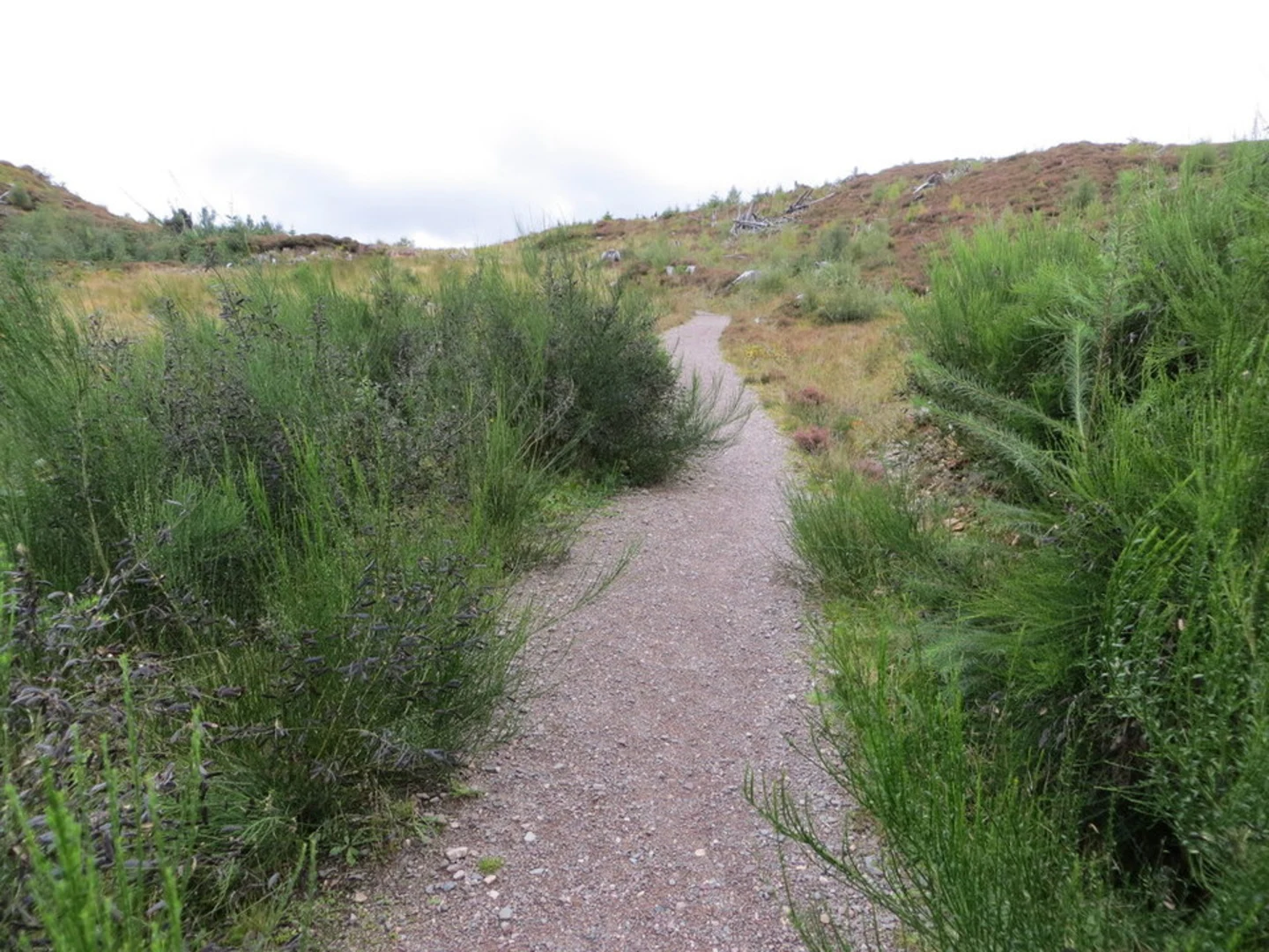 An image depicting the trail Victoria Falls View Trail and its surrounding area.