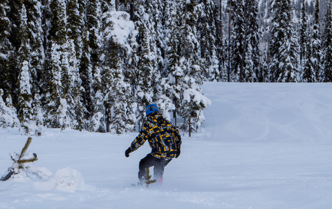 An image depicting the trail Blacktail to Lakeside Trail and its surrounding area.