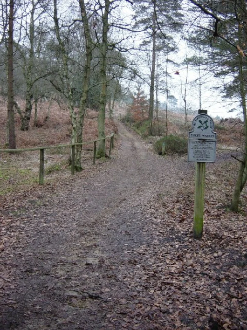 An image depicting the trail Duke's Warren and Tillingbourne Waterfall Loop and its surrounding area.