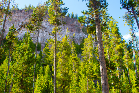 An image depicting the trail Terrace Springs Trail and its surrounding area.