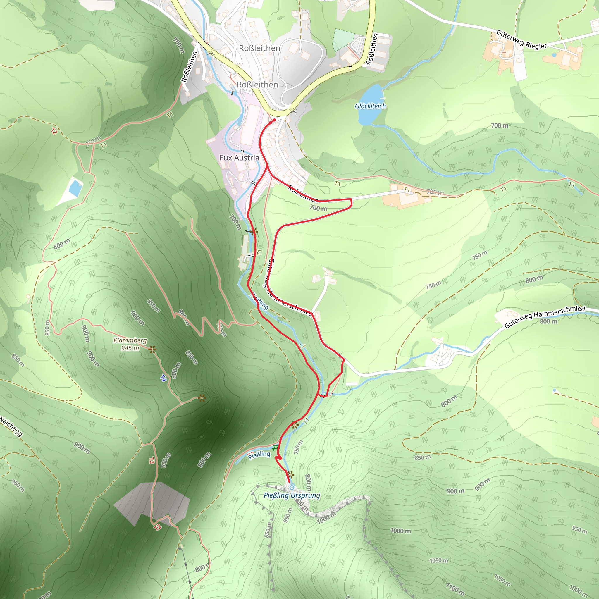 Brown Trail in Roßleithen mobile static map