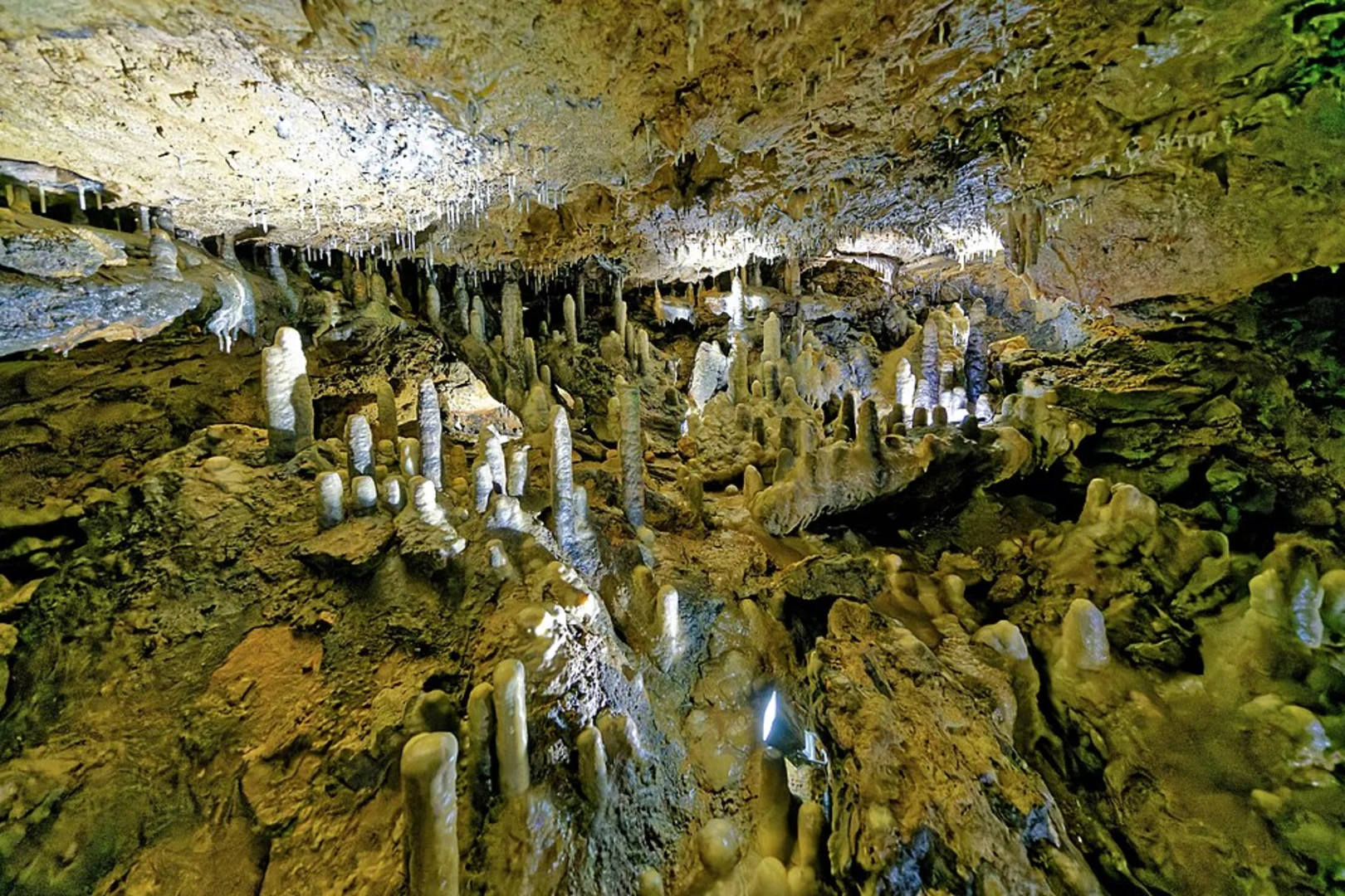An image depicting the trail Ludwigshöhle, Burg Rabenstein and Sophienhöhle Loop and its surrounding area.