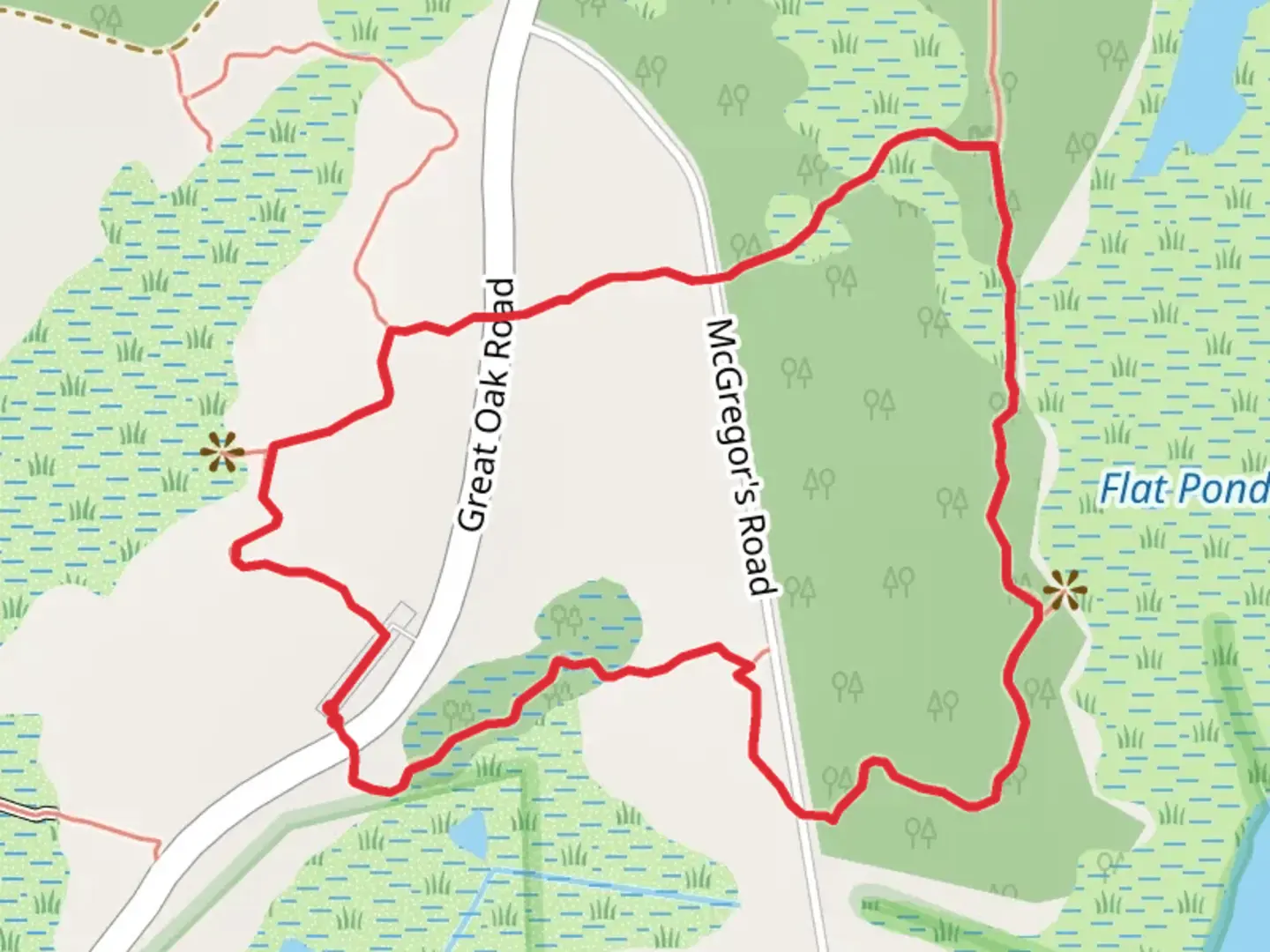 An image depicting the trail Flat Pond Marshes and its surrounding area.