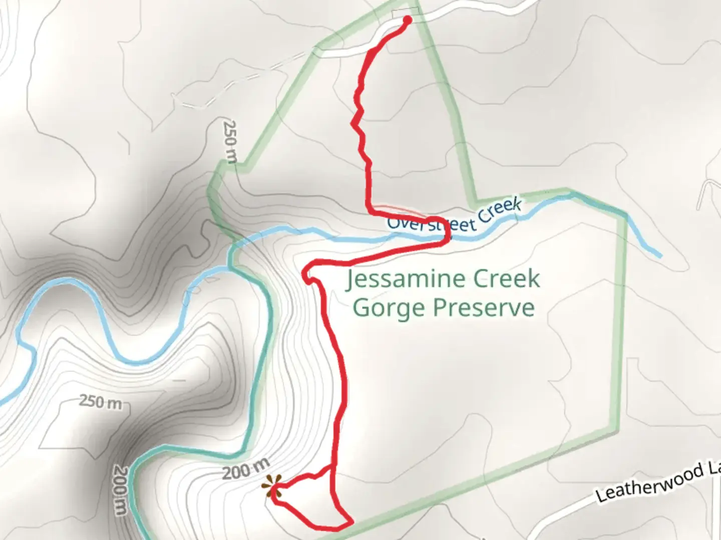 An image depicting the trail Jessamine Creek Gorge Preserve Loop and its surrounding area.