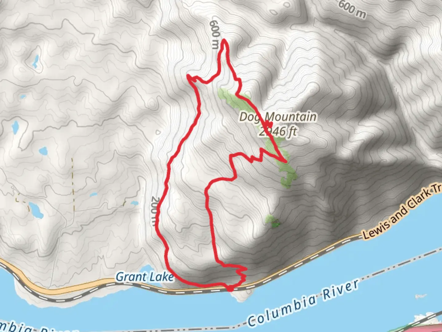 An image depicting the trail Dog Mountain Trails and its surrounding area.