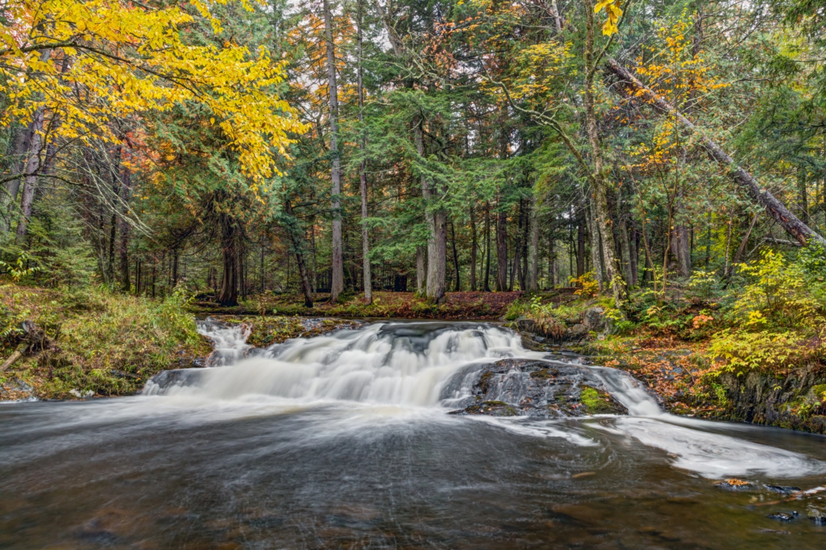 An image depicting the trail Jumbo Falls Trail and its surrounding area.