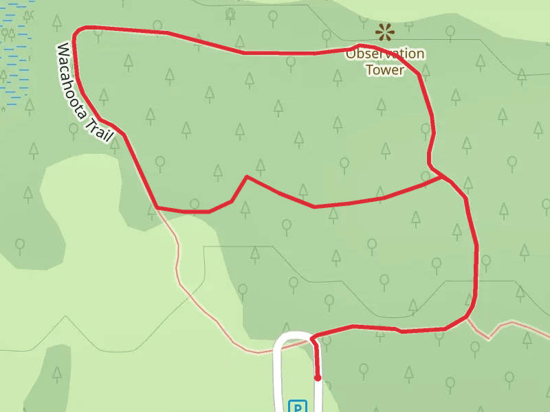 Savannah Boulevard Loop