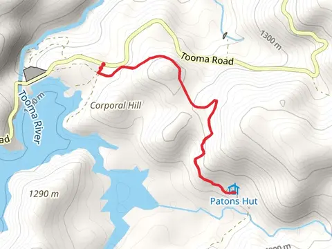 Patons Hut Track