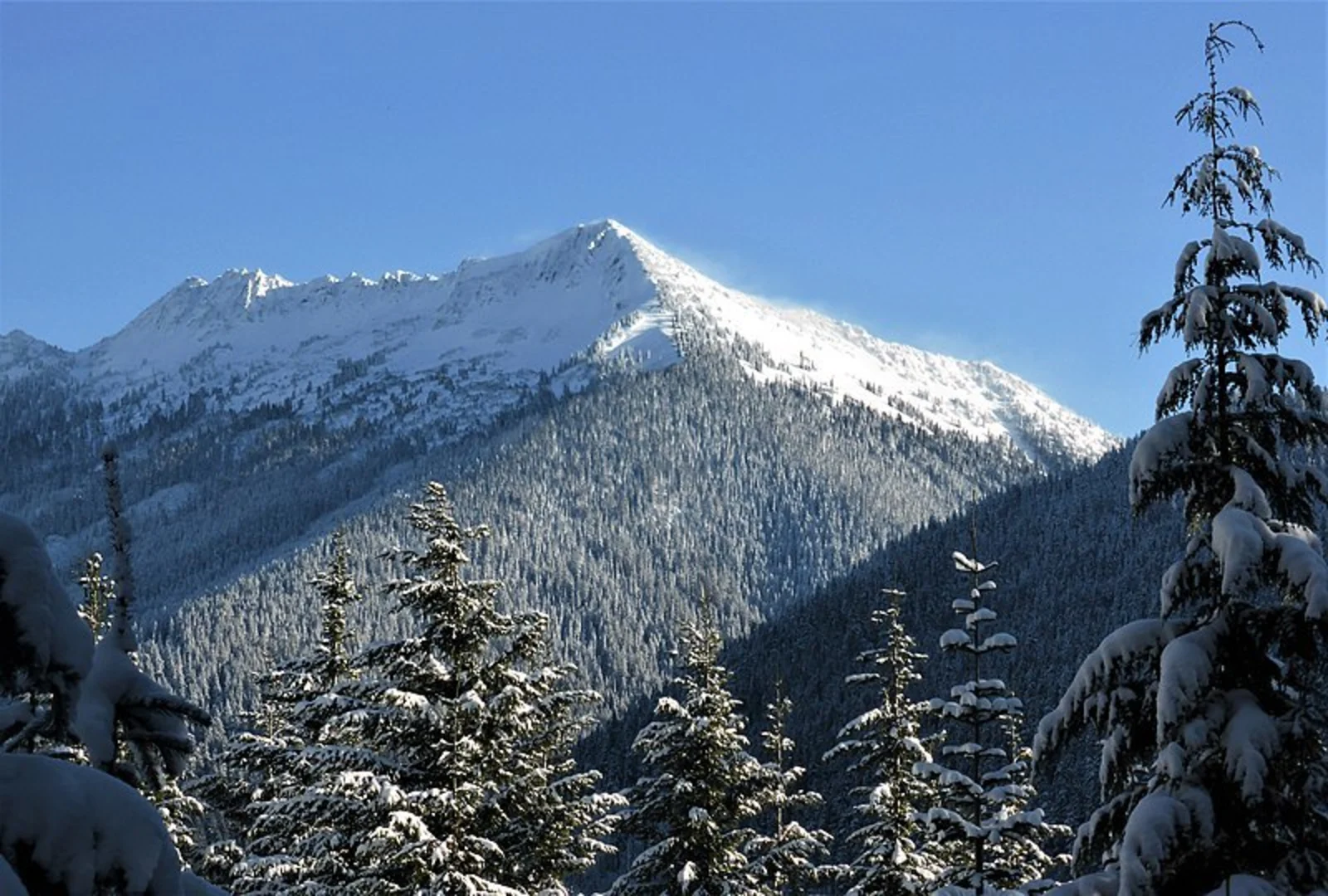 An image depicting the trail Merritt Lake Trail and its surrounding area.