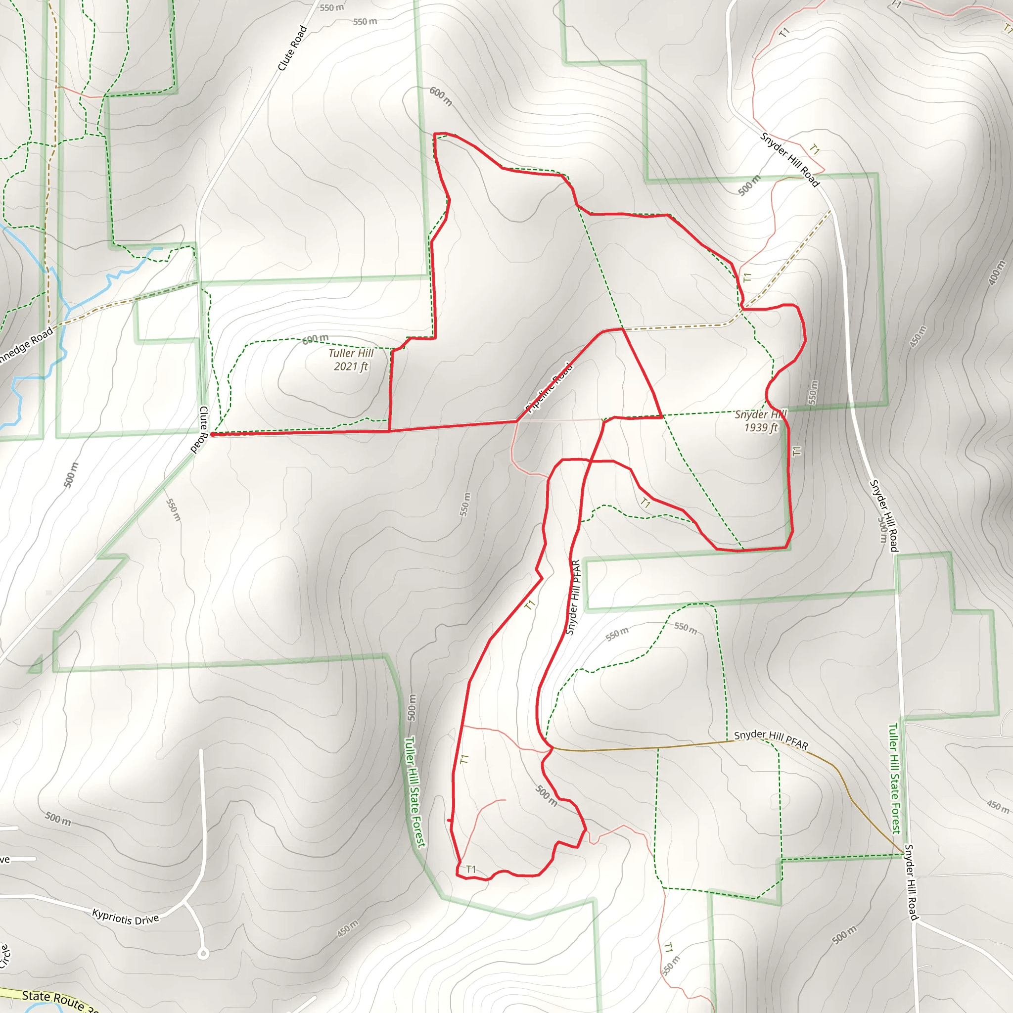 Snyder Hill and Finger Lakes Trail Loop via Clute Road mobile static map