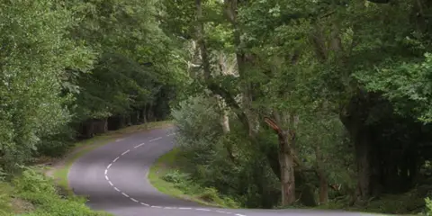 An image depicting the trail Denny Lodge from Beaulieu Road and its surrounding area.